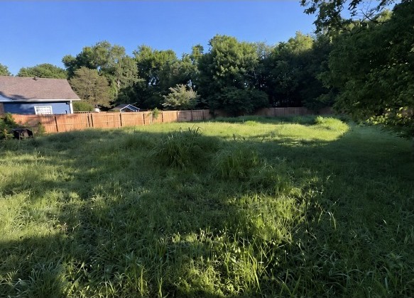 Overgrown yard before work by APEX Construction & Landscaping