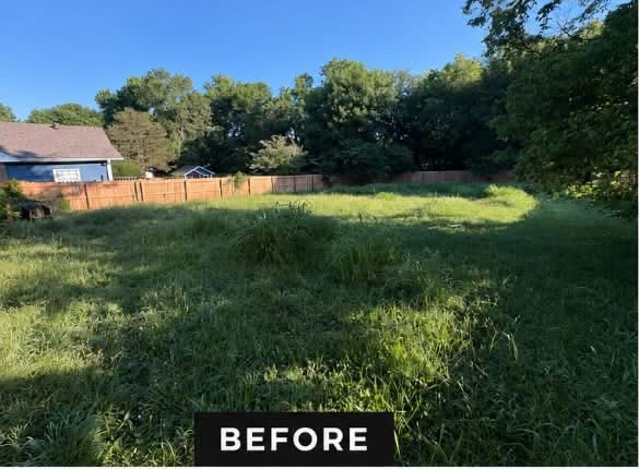 Overgrown yard before work by APEX Construction & Landscaping