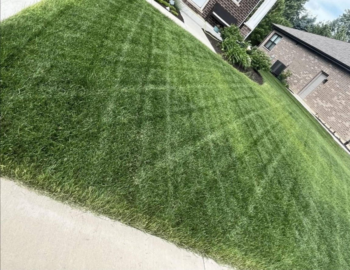 Finished mowing, trimming & edging by APEX Construction & Landscaping